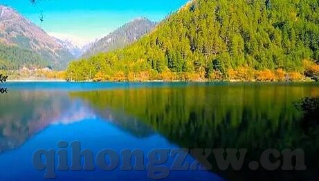 麻豆视传媒在线播放-