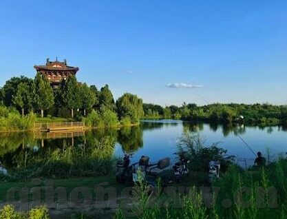 宁夏大象文化传媒有限公司-宁夏大象文化传媒，创新与传承的桥梁