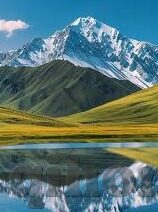 www.麻豆视频在线观看-互联网时代的一个真实场景，www.麻豆视频的在线观看体验